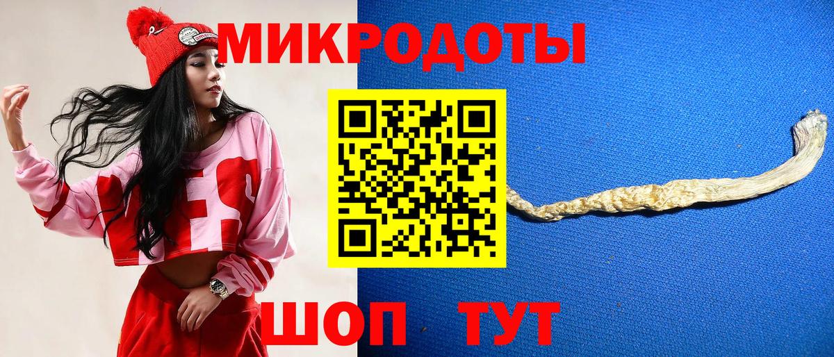 Галлюциногенные грибы Psilocybine cubensis Свободный